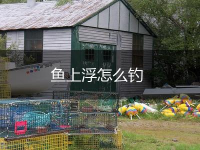 鱼上浮怎么钓,第1张