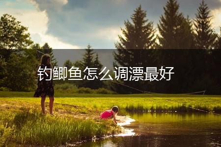 钓鲫鱼怎么调漂最好,第1张