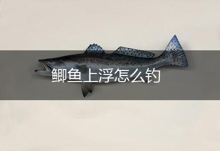 鲫鱼上浮怎么钓,第1张