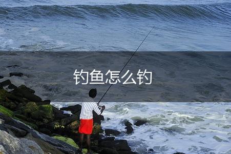 钓鱼怎么钓,第1张