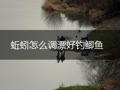 蚯蚓怎么调漂好钓鲫鱼,第1张