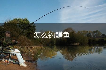 怎么钓鳝鱼,第1张
