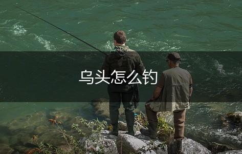 乌头怎么钓,第1张