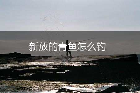 新放的青鱼怎么钓,第1张