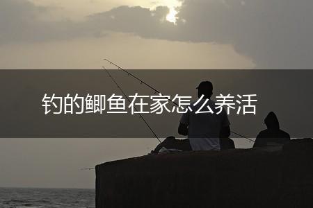 钓的鲫鱼在家怎么养活,第1张