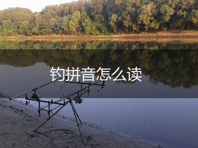 钓拼音怎么读,第1张