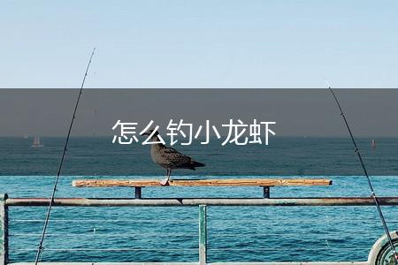怎么钓小龙虾,第1张