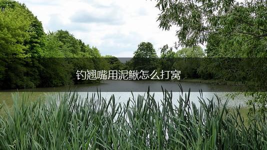 钓翘嘴用泥鳅怎么打窝,第1张