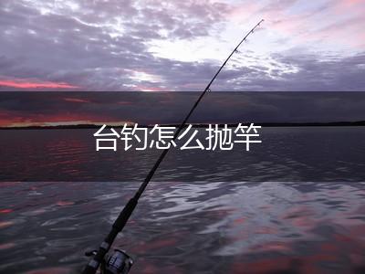 台钓怎么抛竿,第1张