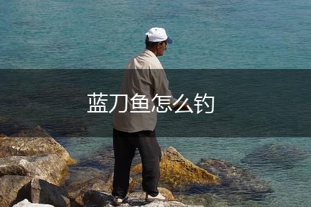 蓝刀鱼怎么钓,第1张