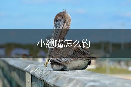 小翘嘴怎么钓,第1张