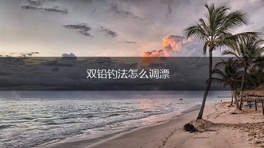 双铅钓法怎么调漂,第1张