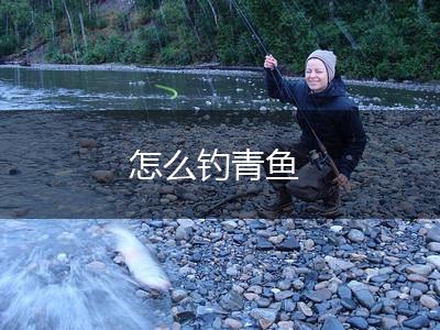 怎么钓青鱼,第1张