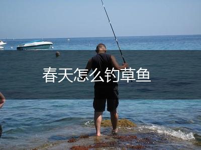 春天怎么钓草鱼,第1张