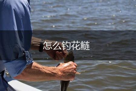 怎么钓花鲢,第1张