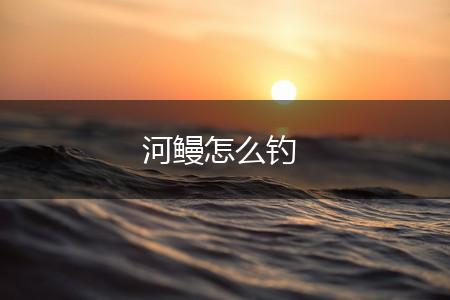 河鳗怎么钓,第1张