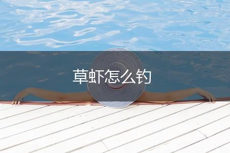 草虾怎么钓,第1张