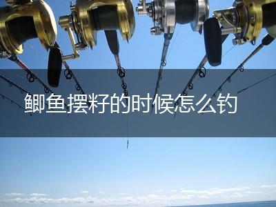 鲫鱼摆籽的时候怎么钓,第1张