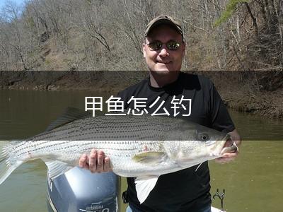 甲鱼怎么钓,第1张