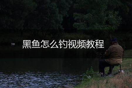 黑鱼怎么钓视频教程,第1张